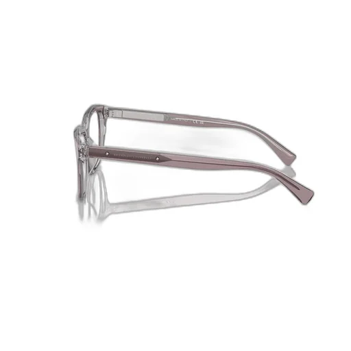 Butterfly Frame Glasses