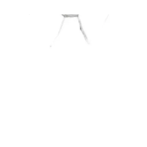 Monili Chain Detailed Long-Sleeved Shirt