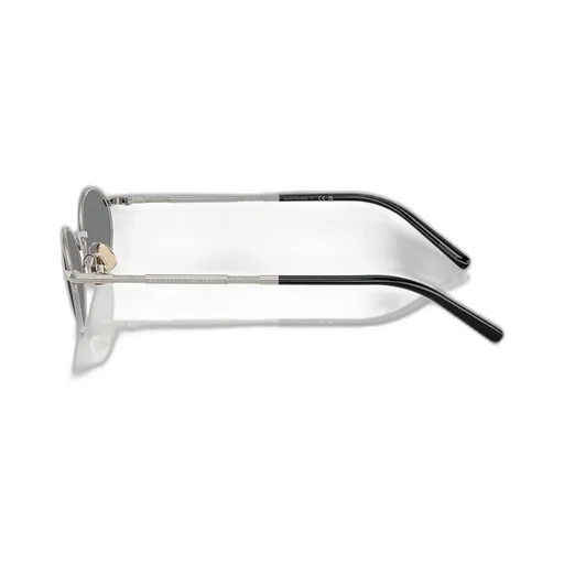 Oval Frame Sunglasses