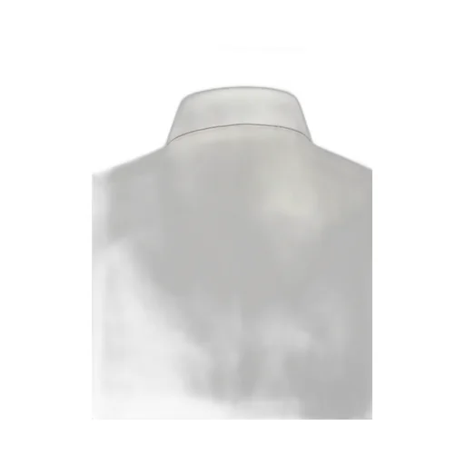 Semi-Sheer Long-Sleeved Shirt