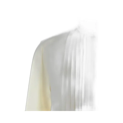 Long-Sleeved Pleated Plastron Shirt