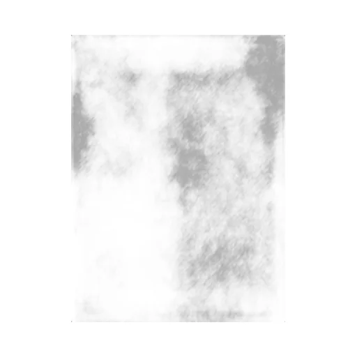 Logo Detailed Fringed Edge Scarf