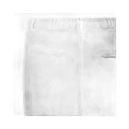 Pleated Trousers