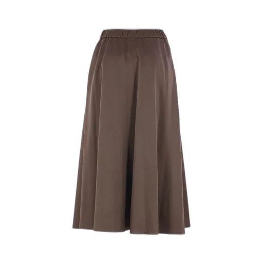 Pleated Flared Skirt