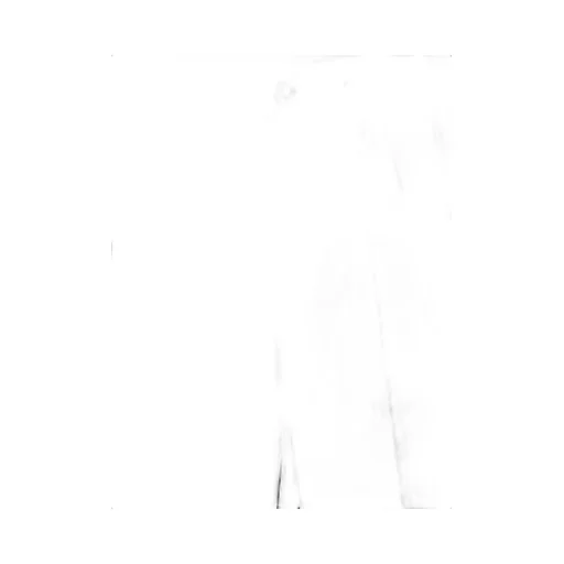 High Waisted Pleated Trousers