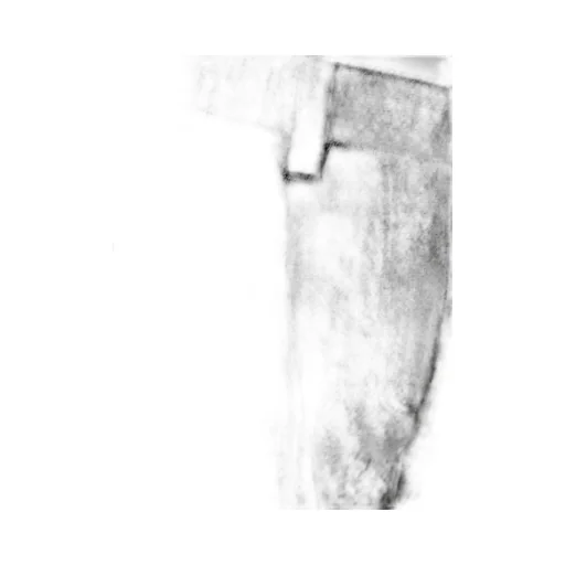 Pleated Trousers
