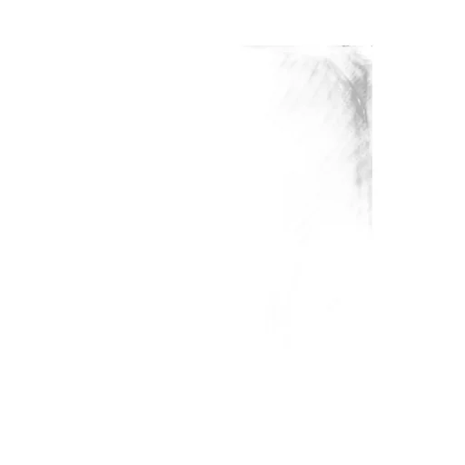 Button Detailed Turtleneck Jumper