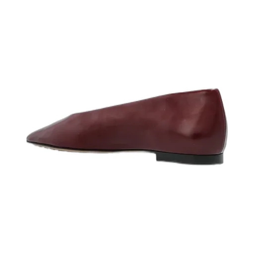Sofia Ballerina Shoes