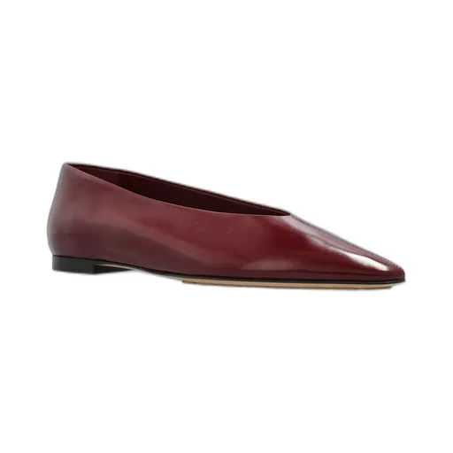 Sofia Ballerina Shoes