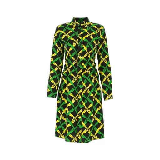 Graphic Printed Regular Fit Shirt Dress