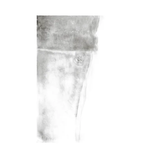 Zippered Cargo Pants