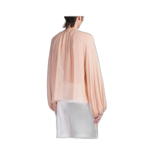 Semi-Sheer Ruffled Chiffon Blouse