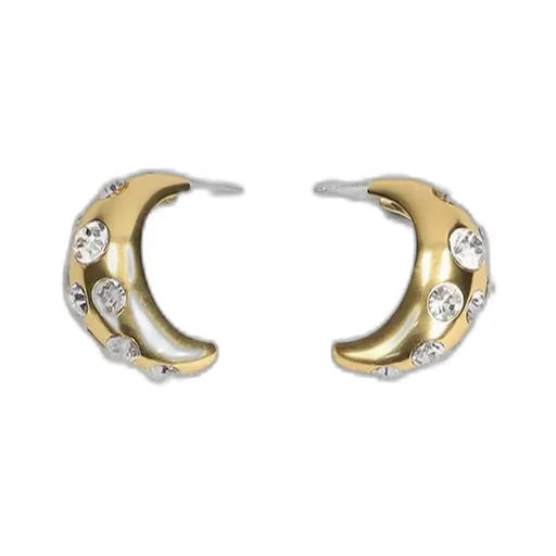Embellished Earrings