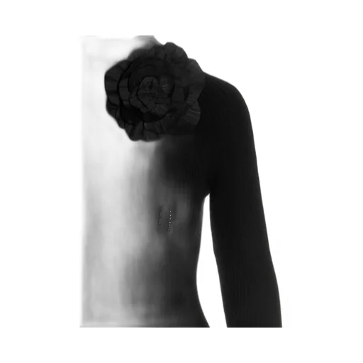 Rose Detailed Long Sleeve Dress