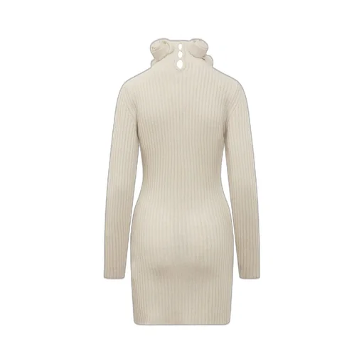 Rose Detailed Knitted Mini Dress