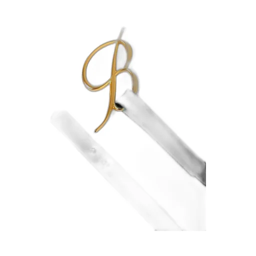 Logo Plaque Patent Belt