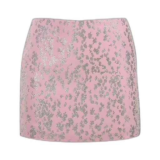 Embroidered Mini Skirt