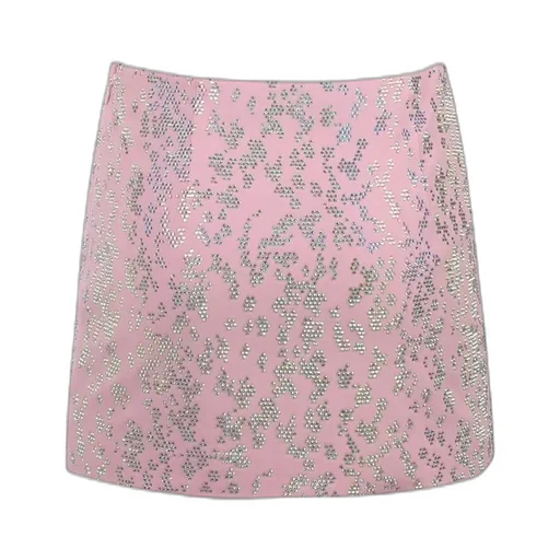 Embroidered Mini Skirt