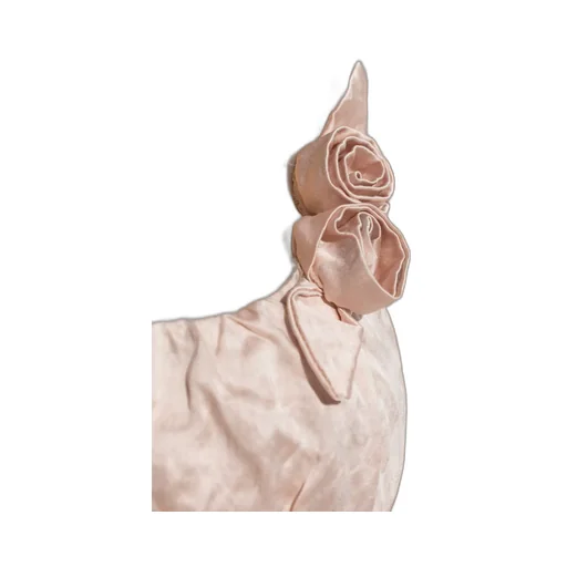Satin Applique Halter Top