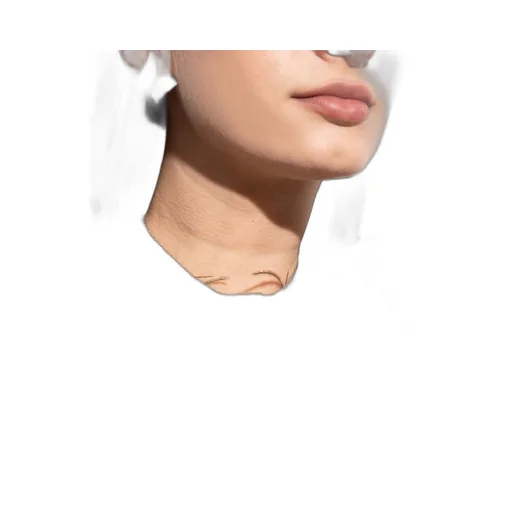 Crystal Choker Necklace