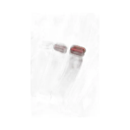 Satin Panel Suspender