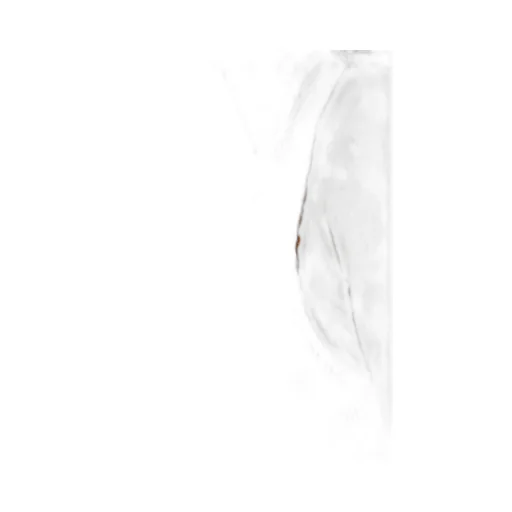 Cut-Out Swim Top
