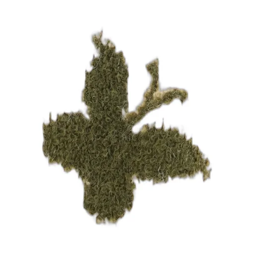 Butterfly Hooded Knitwear