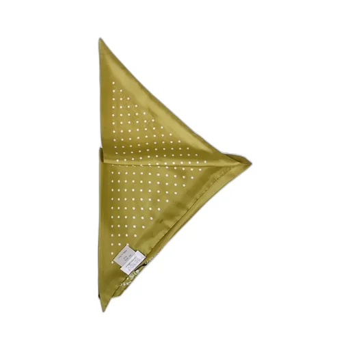 Bandana Print Scarf