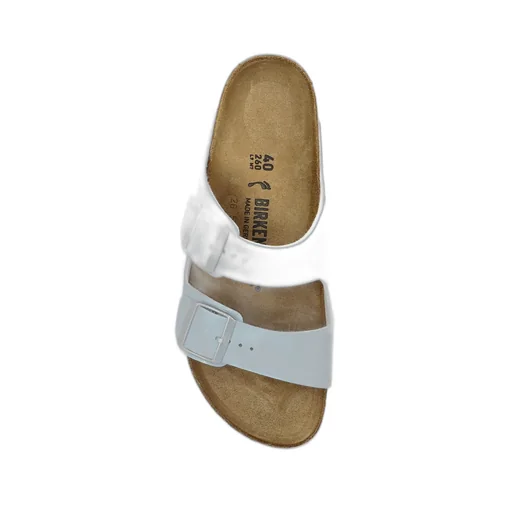 Arizona Bs Slides