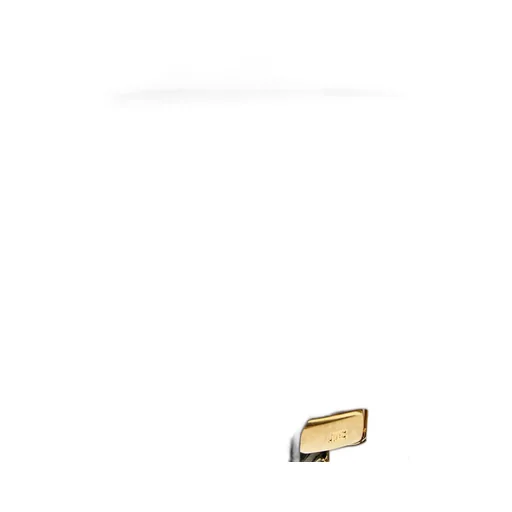Anthem Clutch Bag