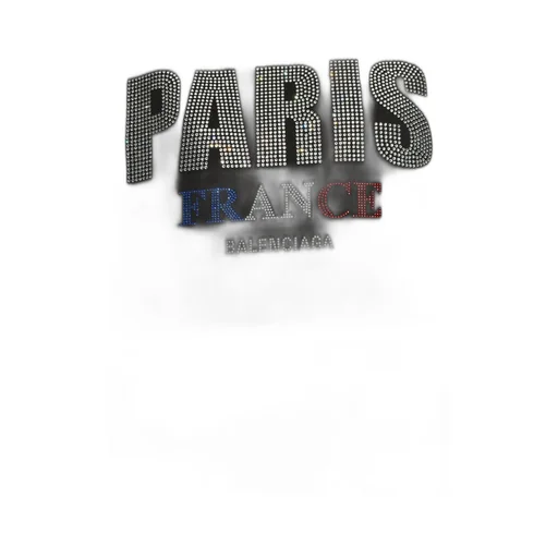 Paris Logo Embellished Hoodie