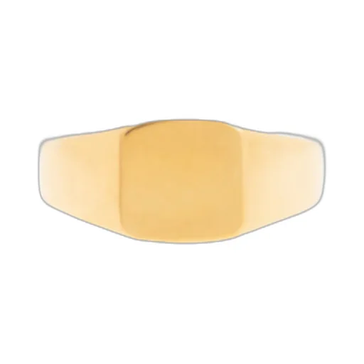 Two Finger Signet Ring