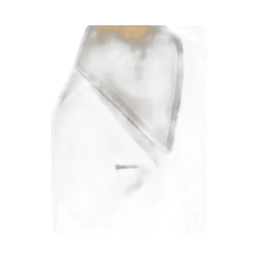 Belted Trench Coat
