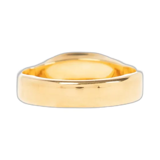 Two Finger Signet Ring