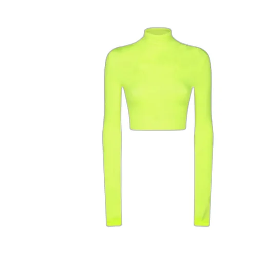 Turtleneck Cropped Top