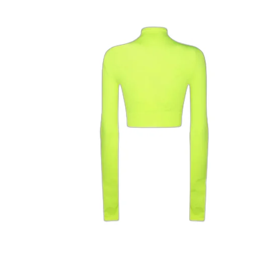 Turtleneck Cropped Top