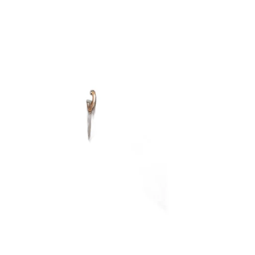 Chain Pendant Earrings