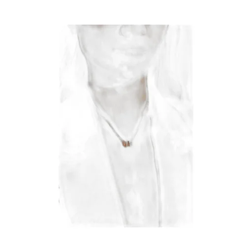 Double Pendant Necklace