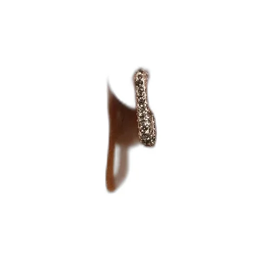 Dara Pave Earrings