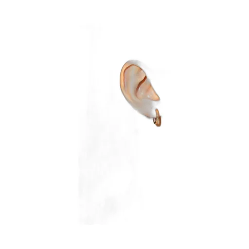 Logo Engraved Hoop Earrings