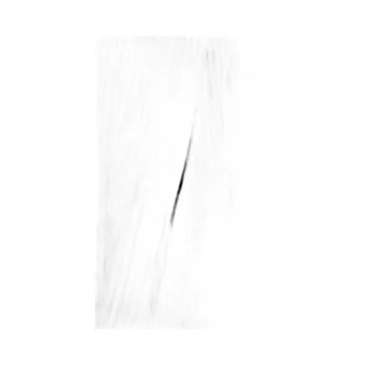 Aleida Pinstripe Blazer