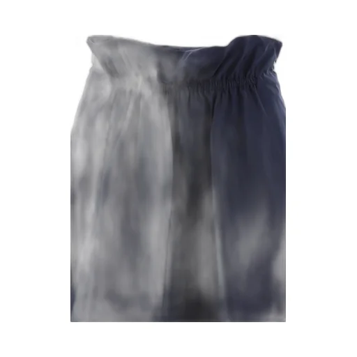 Ruched Flared Skirt