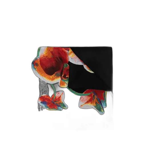 Floral Motif Printed Scarf