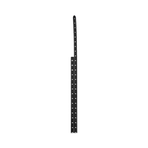 Stud Embellished Belt