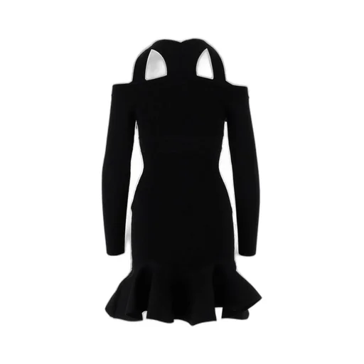 Ruffle Detailed Flared Mini Dress