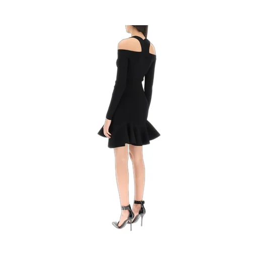 Ruffle Detailed Flared Mini Dress