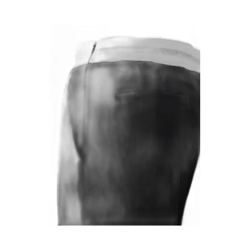 Tailored Pleated Trousers