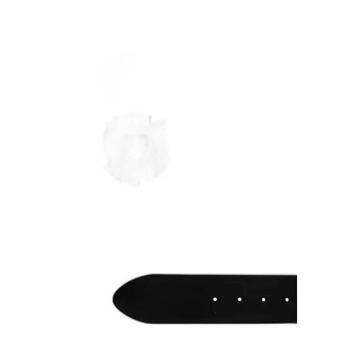 Crystal-Embellished Buckle Belt