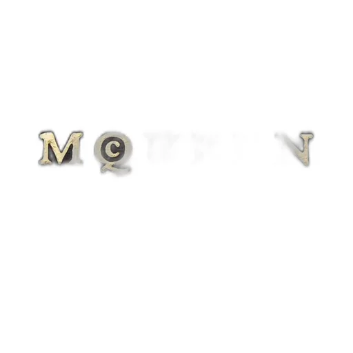 Logo Printed Zipped Card Holder