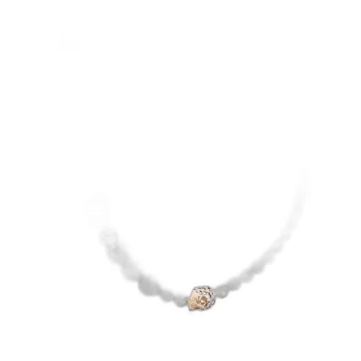 Skull Embellished Necklace